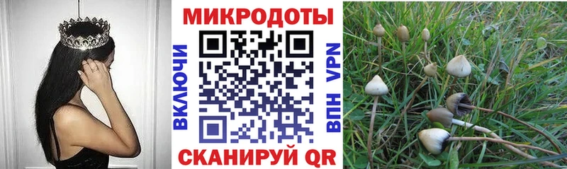 mega ссылка  Новосокольники  Псилоцибиновые грибы Psilocybe  как найти закладки 